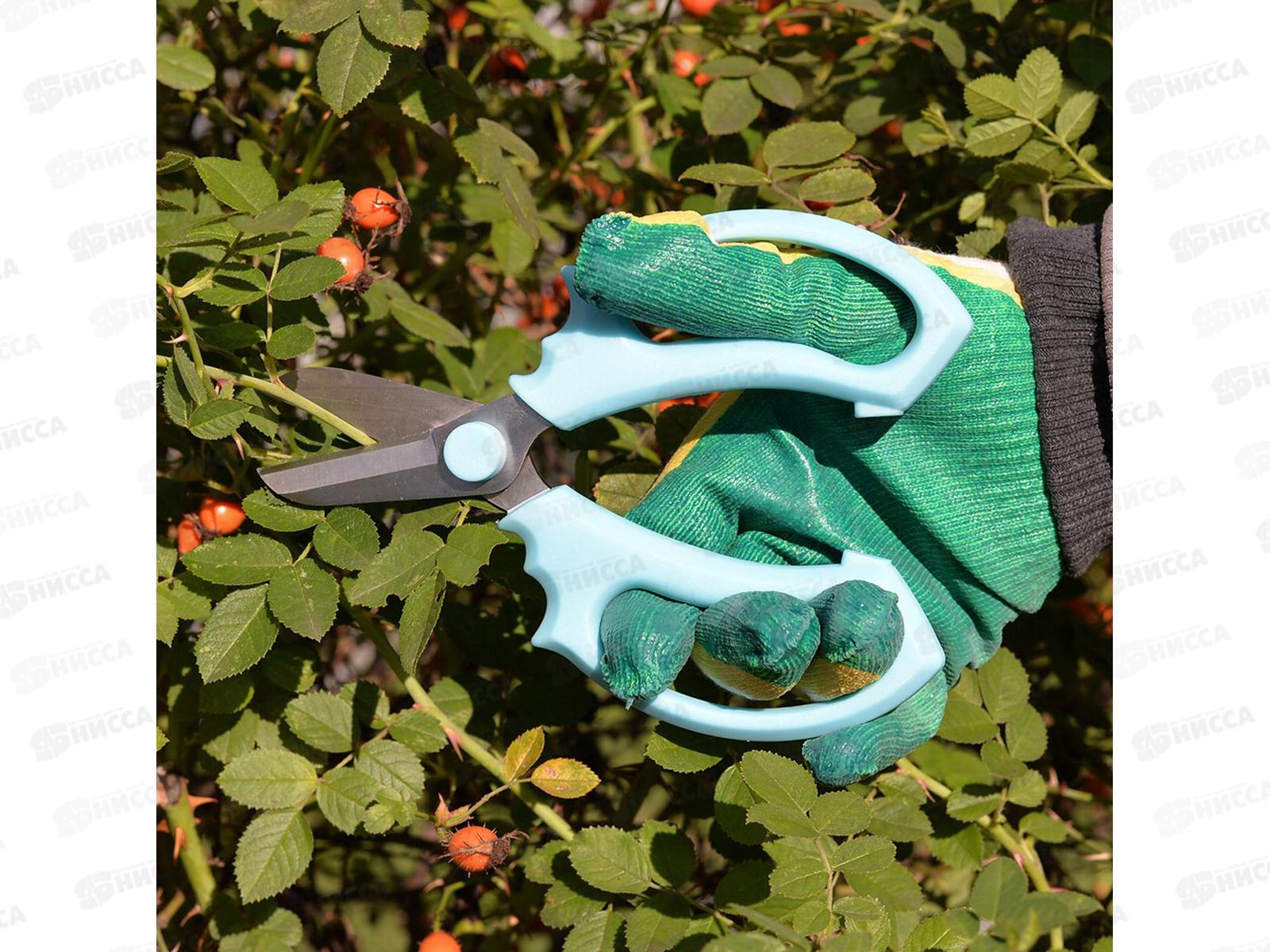 Ножницы для флориста Букет VL83-207