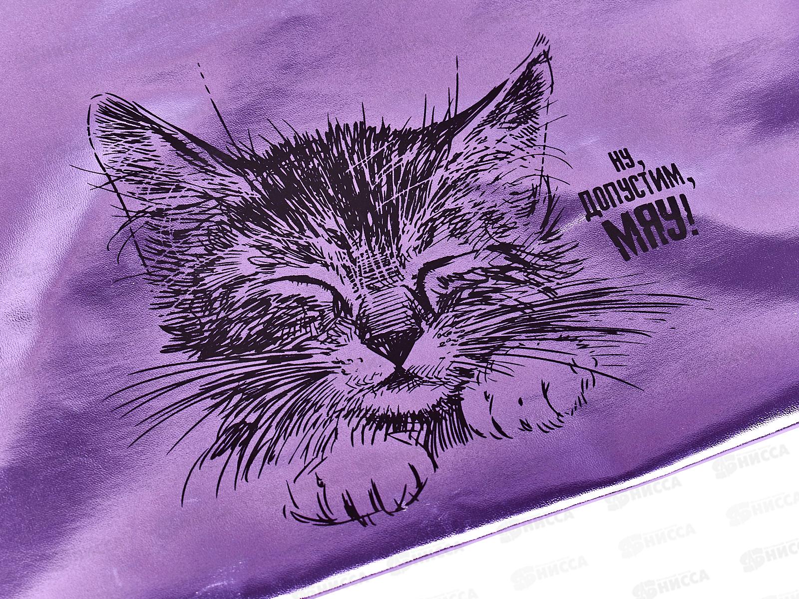 Папка для тетрадей deVente Ну, допустим, мяу! на молнии, искусственная кожа. 8053256