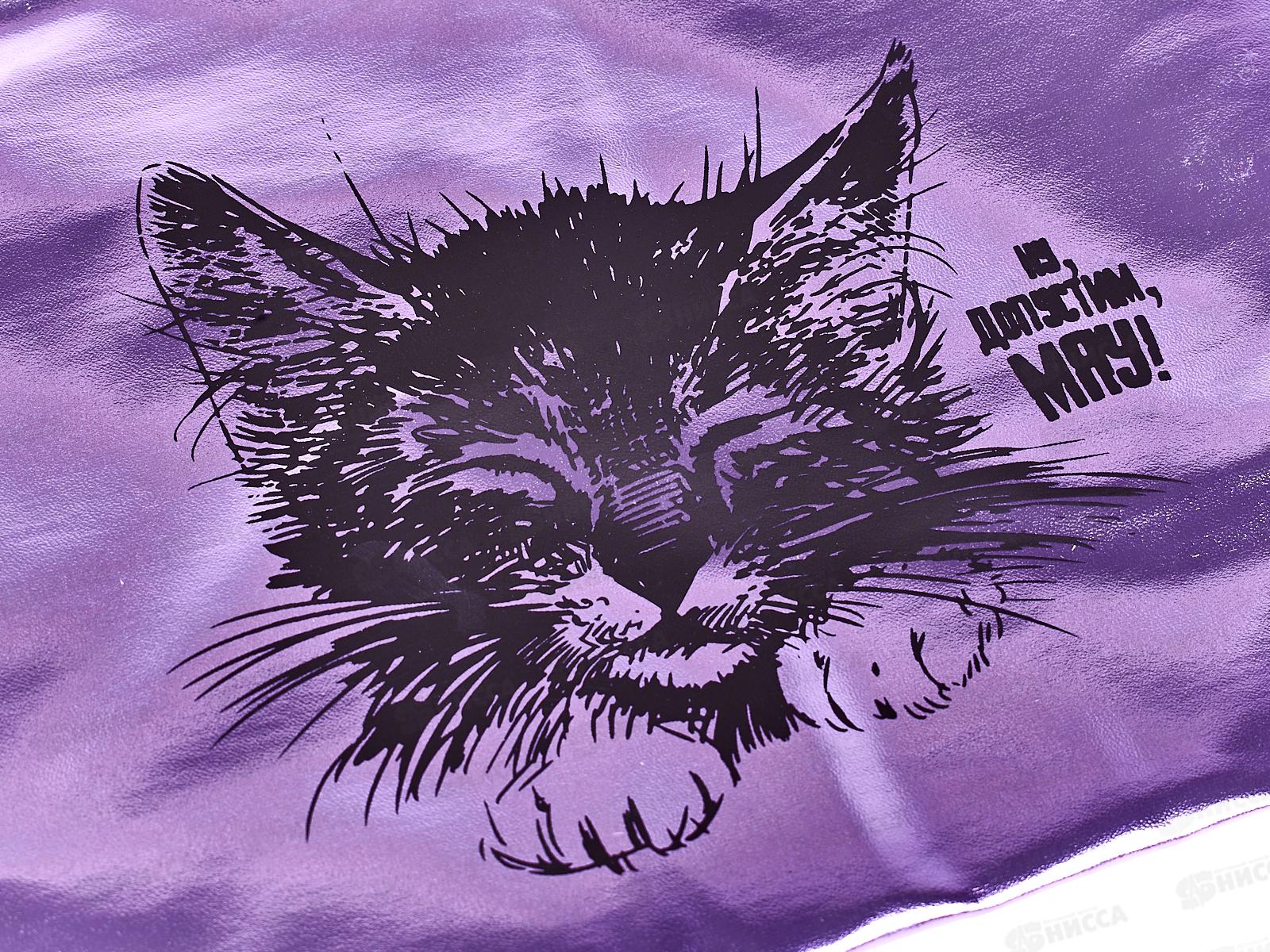 Папка  для тетрадей deVente Ну, допустим, мяу! А5 на молнии, искусственная кож. 8053257