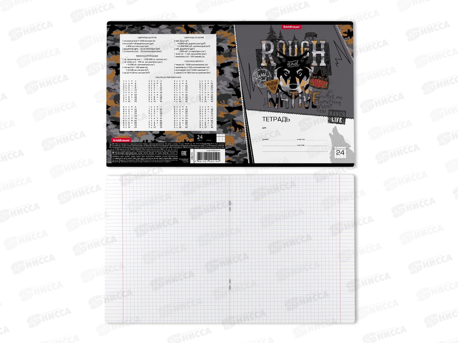 Тетрадь 24 листа клетка. ПОЛИ Rough Native 49219 *10/160