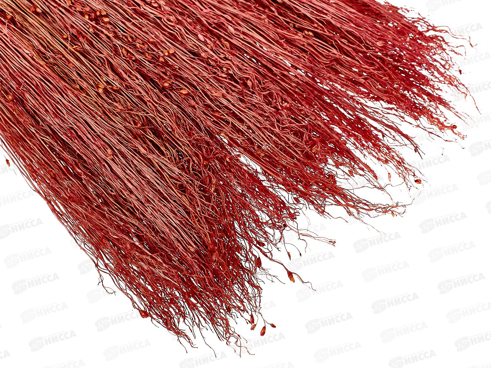 Веник &quotСорго&quot 3 луч