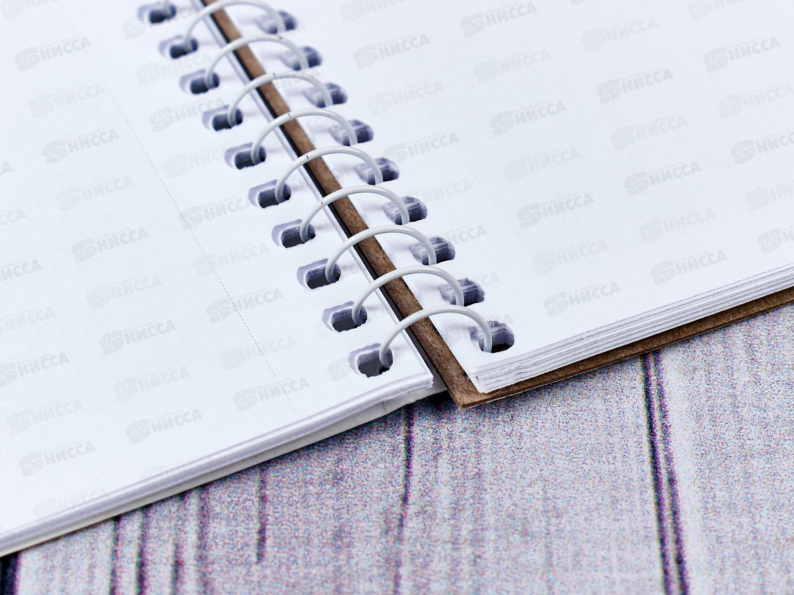 Альбом для рисования 32л Hatber Мопс,греб.074774 *5/40