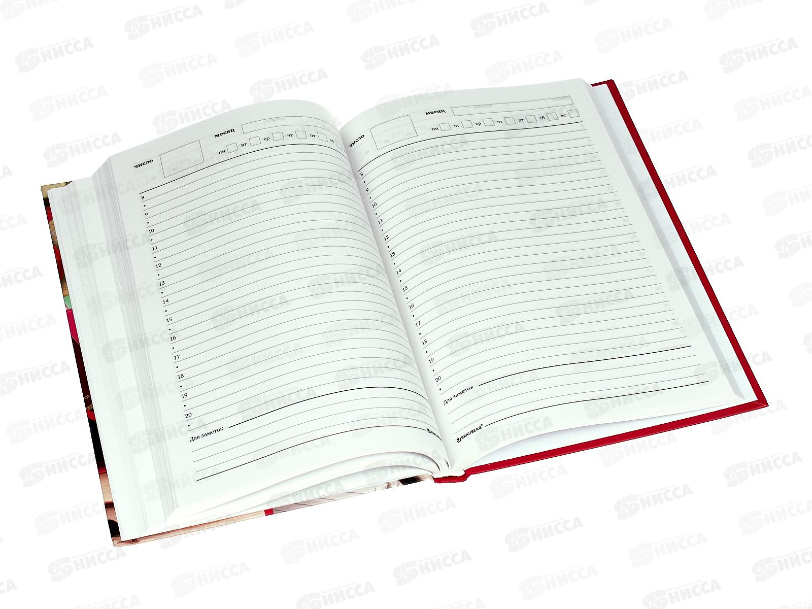 Ежедневник учителя BRAU А5 Аксессуары тв.обл. 215*145 129232 *16