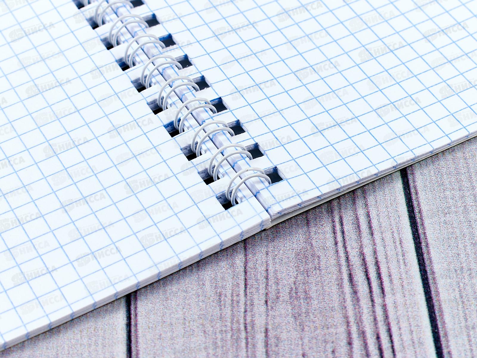 Тетрадь 48листов клетка  Hatber Нежнее нежного,греб. *4/96