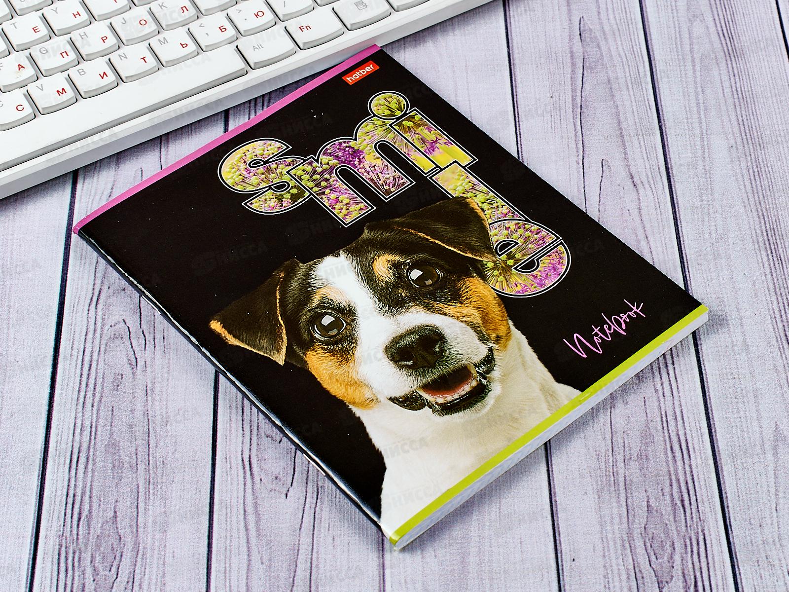 Тетрадь 80л кл. Hatber Улыбнись *7/70