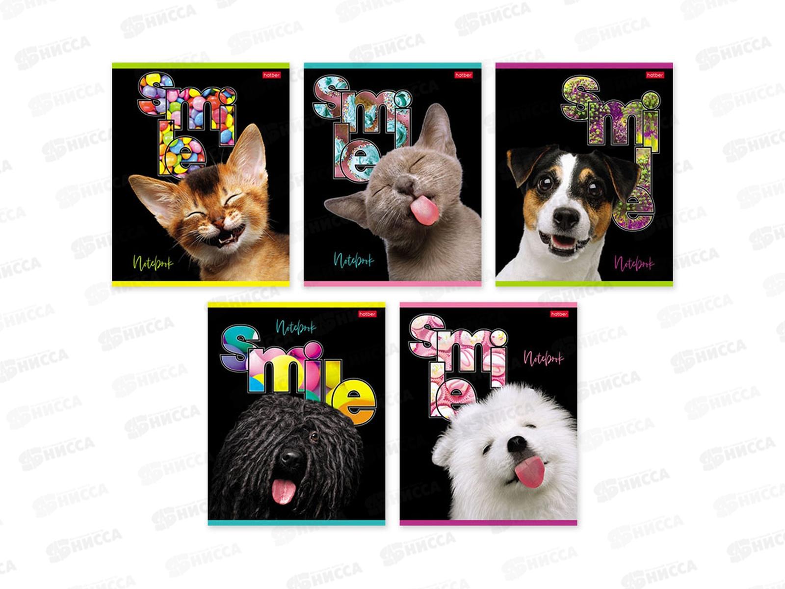 Тетрадь 80л кл. Hatber Улыбнись *7/70