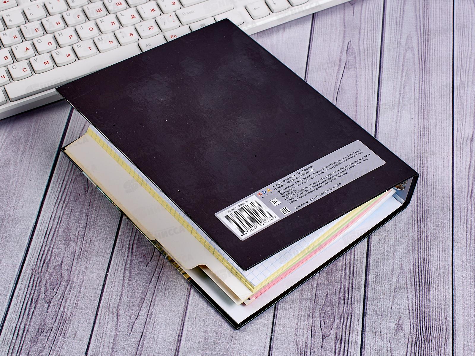 Тетрадь 4*50листов клетка  Апплика Кафе на набережной,4цв, С0800-36*14