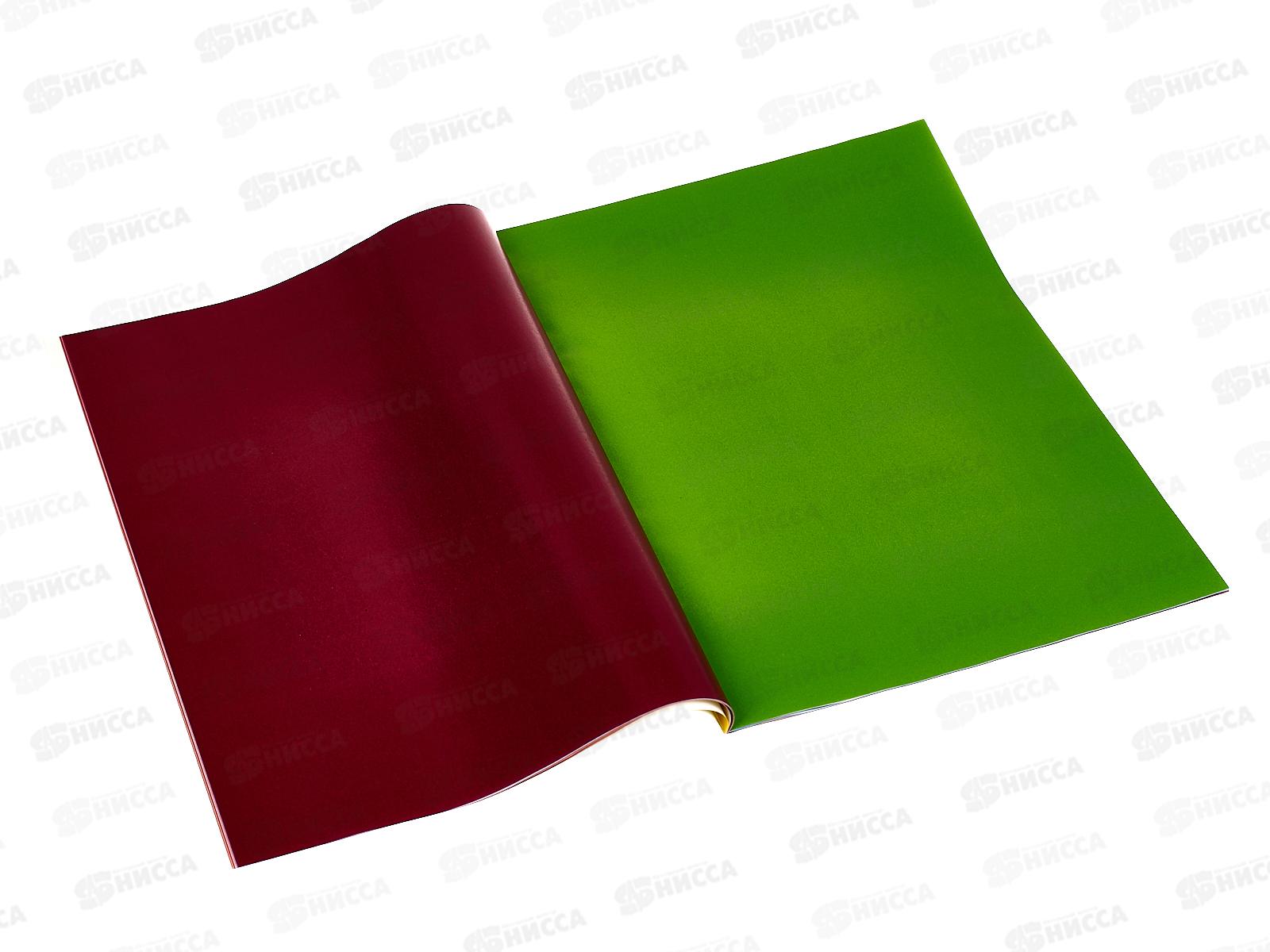 Цветная бумага 32л  16цв А4 ArtSpace  Крокодил мел. 28792*20