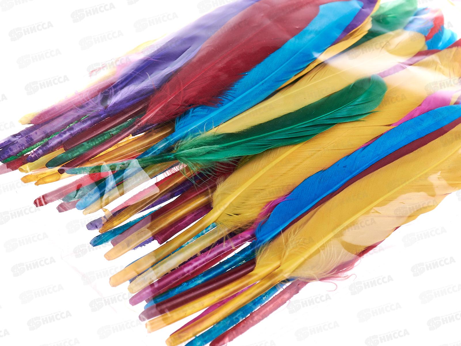 Декор элементы deVENTE ПЕРЬЯ пестрый микс,50шт 8130900*12