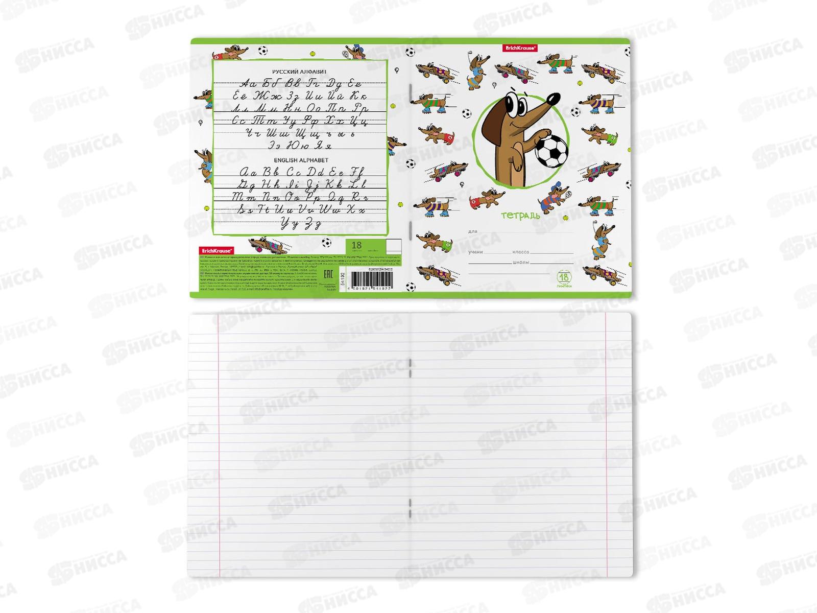 Тетрадь 18листов линия ПОЛИ Busy Dogs  54192*25/200