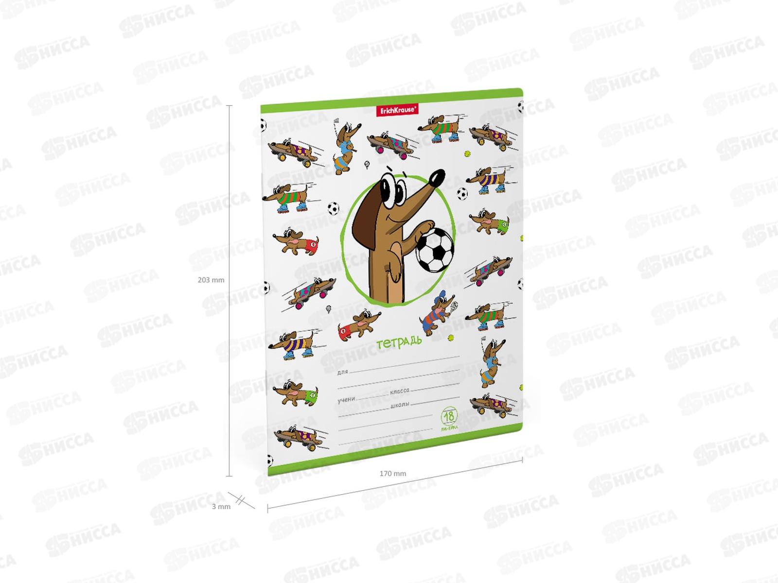 Тетрадь 18листов линия ПОЛИ Busy Dogs  54192*25/200