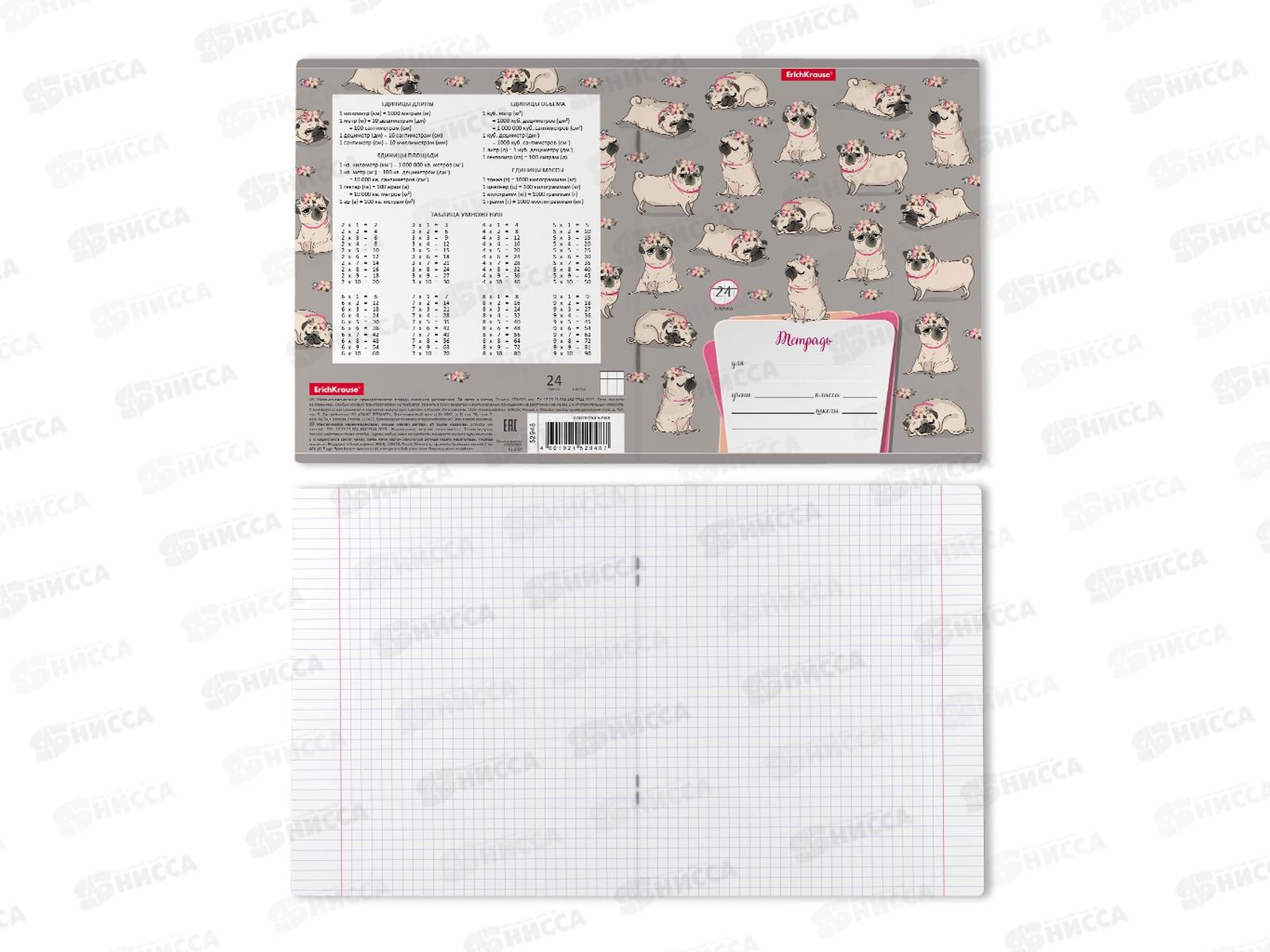 Тетрадь 24л кл. ПОЛИ Chilling Dog, 52948*10/160