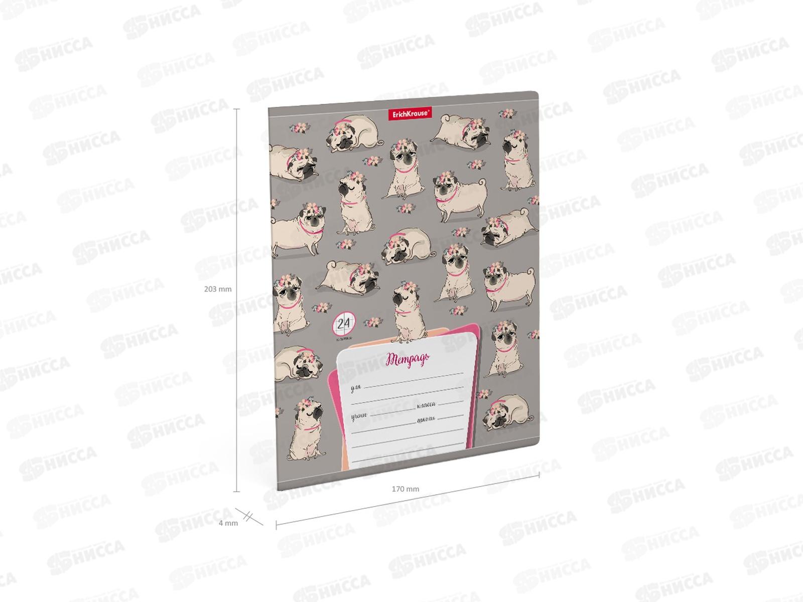 Тетрадь 24л кл. ПОЛИ Chilling Dog, 52948*10/160