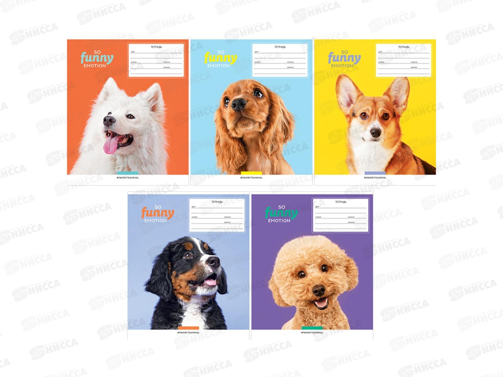 Тетрадь 18л кл. ArtSpace &quotПитомцы&quot So tunny&quot 43250*20/200