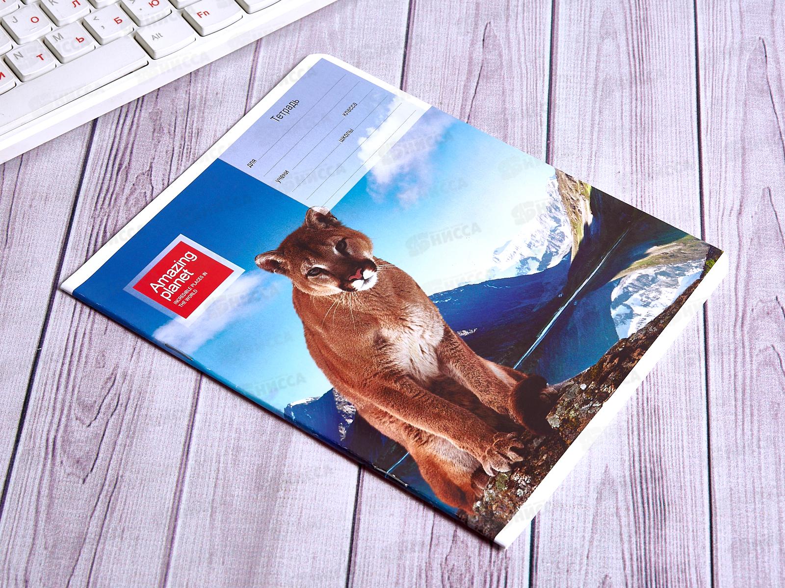 Тетрадь 18л лин. ПЗБМ Удивительная планета,12U05M1 UPL*20/200