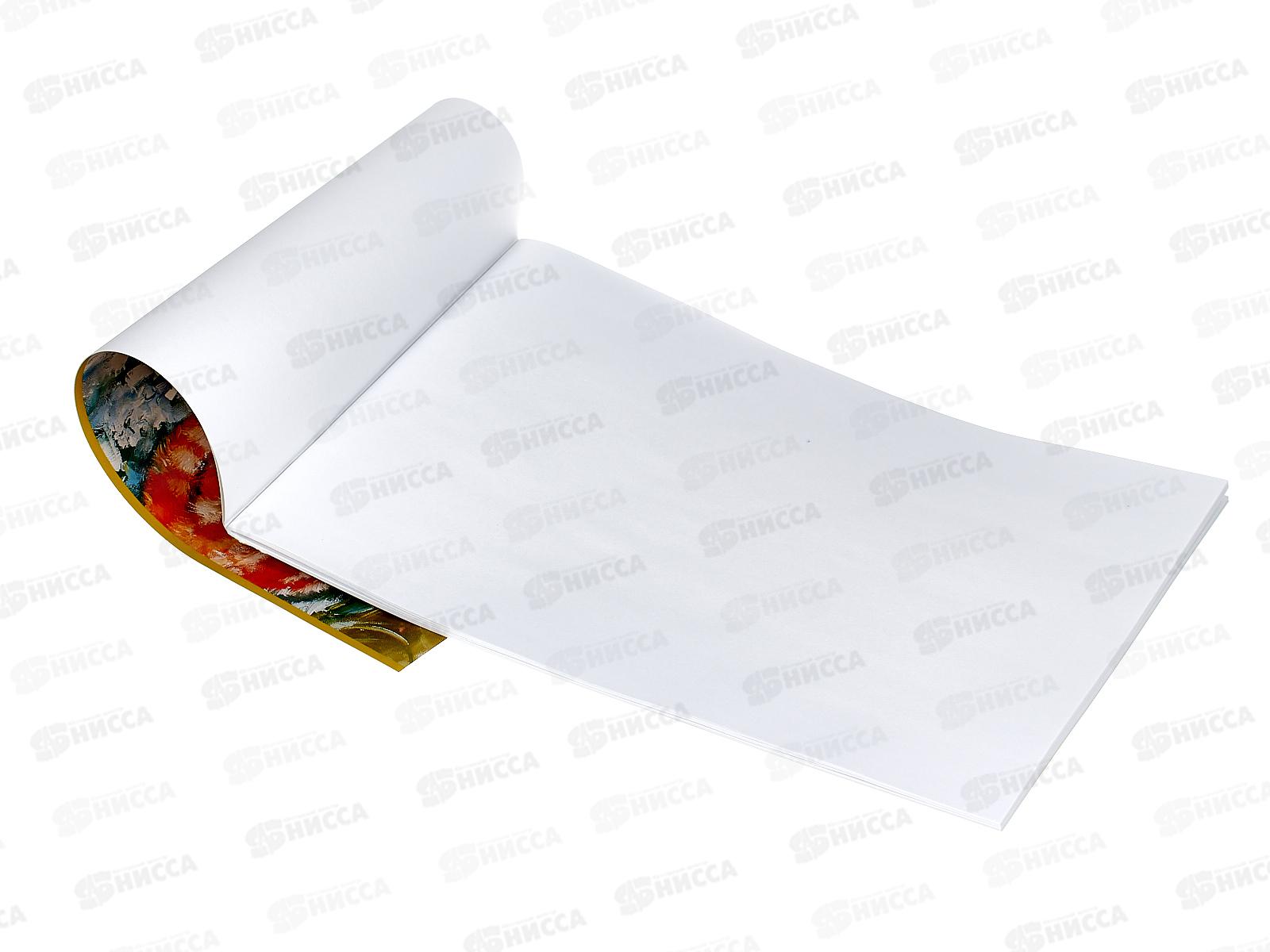 Альбом для рисования 20л ПЗБМ Рыжий и Довольный,046818*5/50