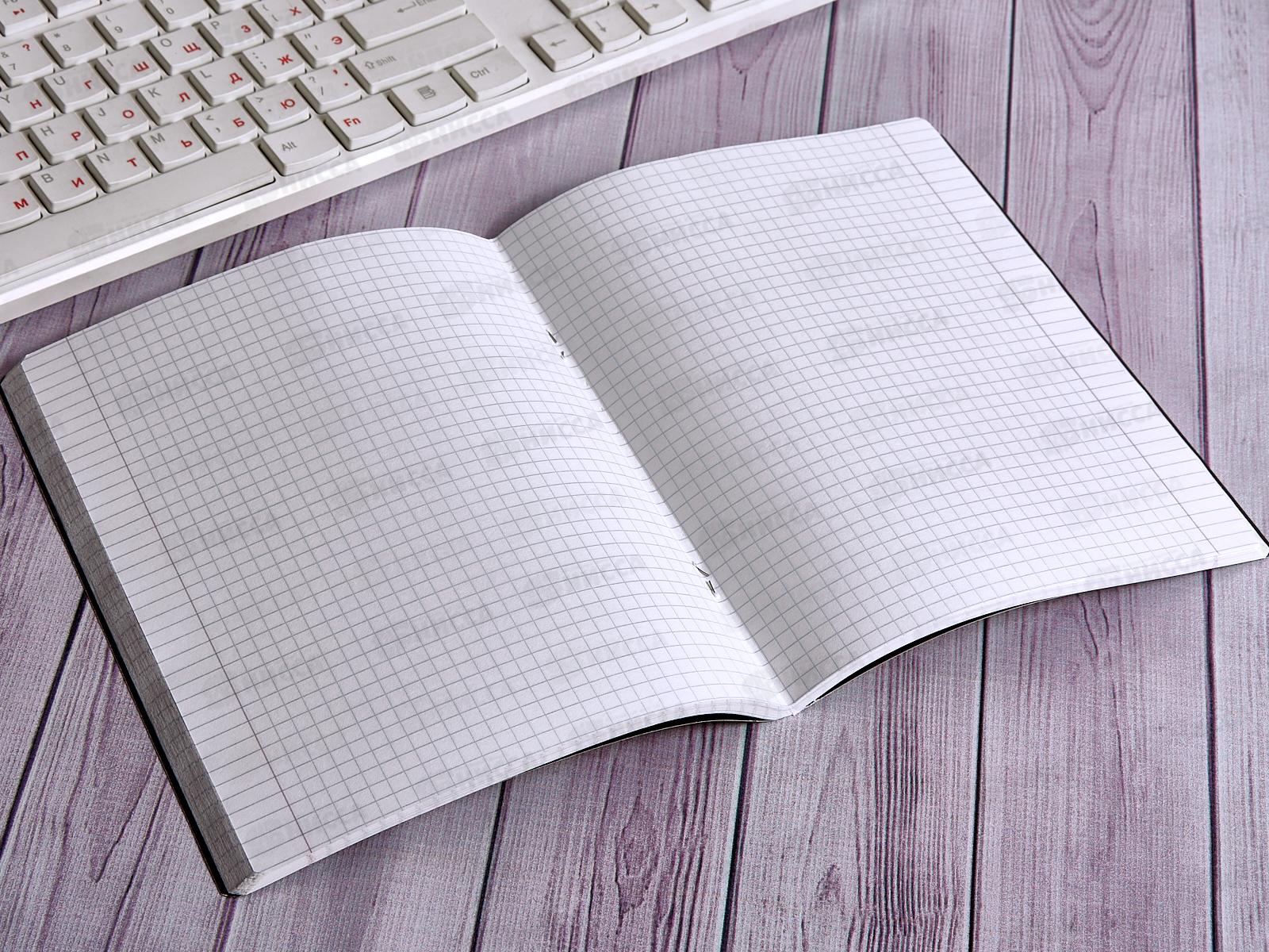 Тетрадь 96листов клетка  ПЗБМ БлэкТач 028657 *5/30