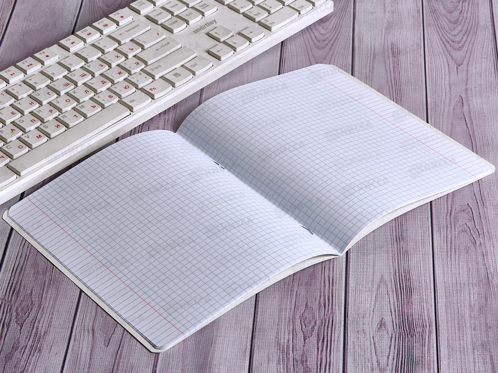 Тетрадь 12листов клетка ПЗБМ Малюськи,019302*20/120