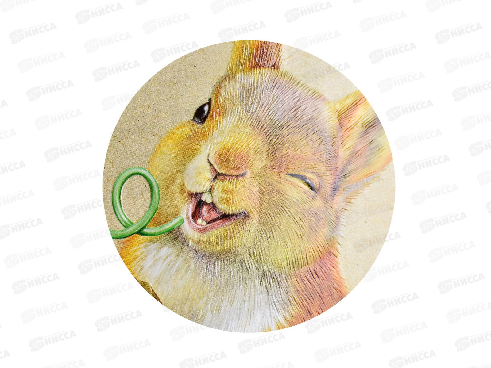 Тетрадь 48листов клетка ФЕН Модные пушистики, 59124*5/50