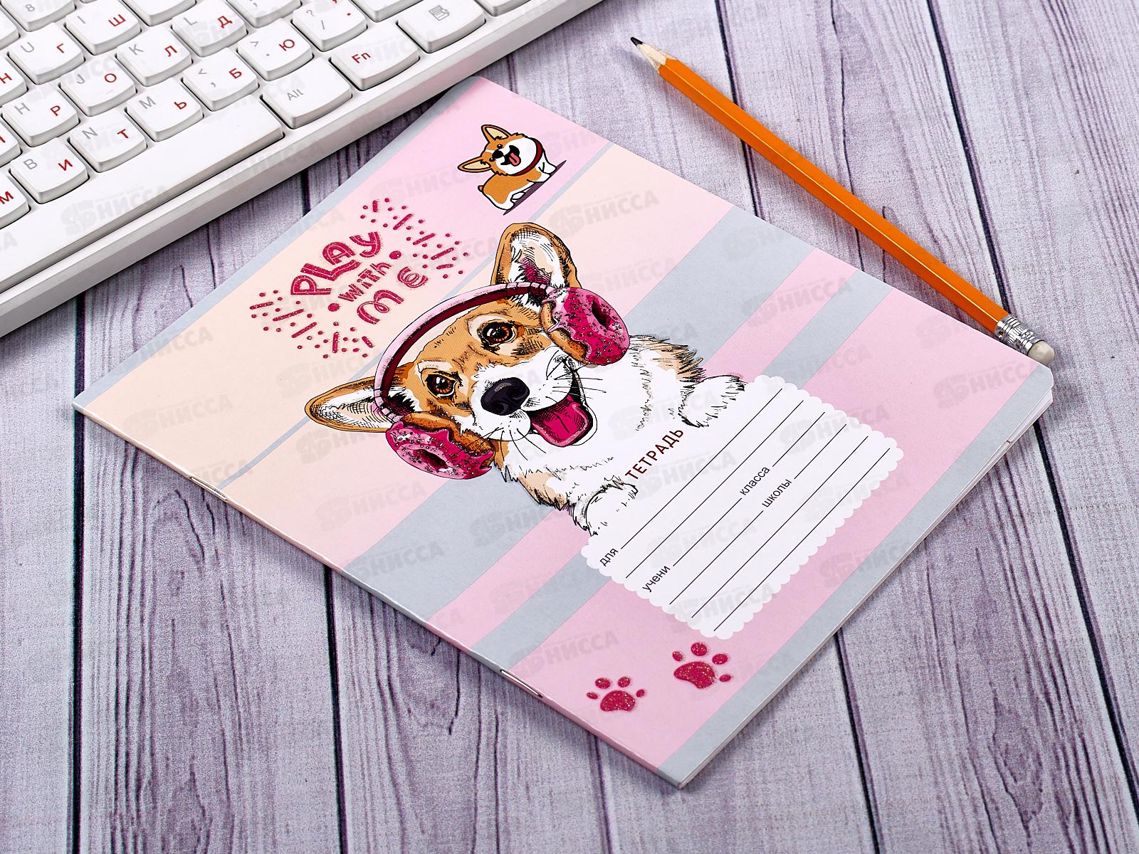 Тетрадь 18л лин BG Fun corgi 9638*20/160