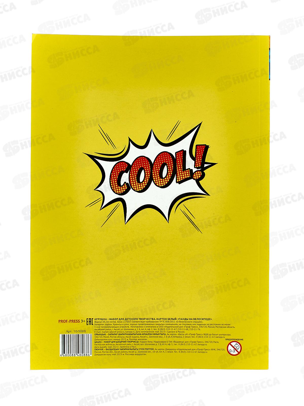 Картон белый А4 ПП 10л Панды на велосипеде, 10-9088 *30