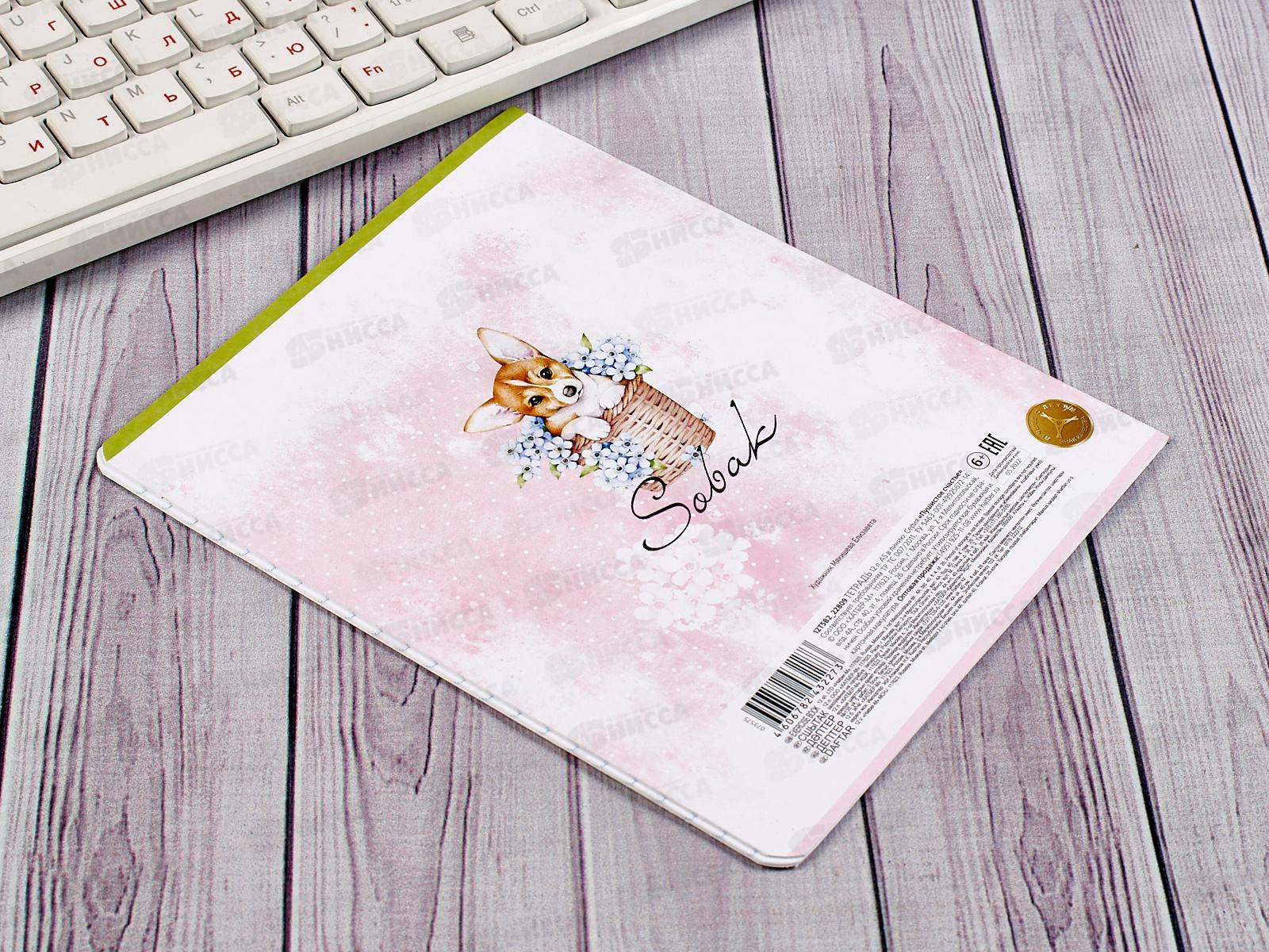 Тетрадь 12листов линия Hatber Пушистое счастье *10/140