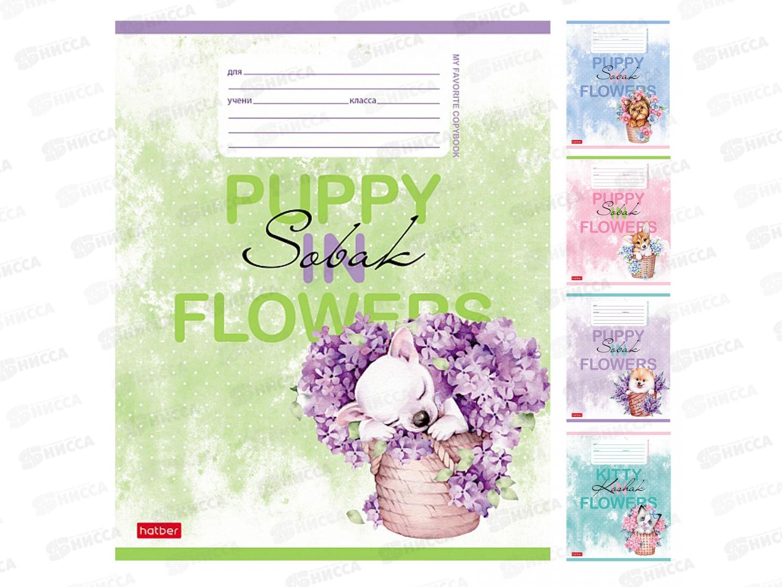 Тетрадь 12листов линия Hatber Пушистое счастье *10/140