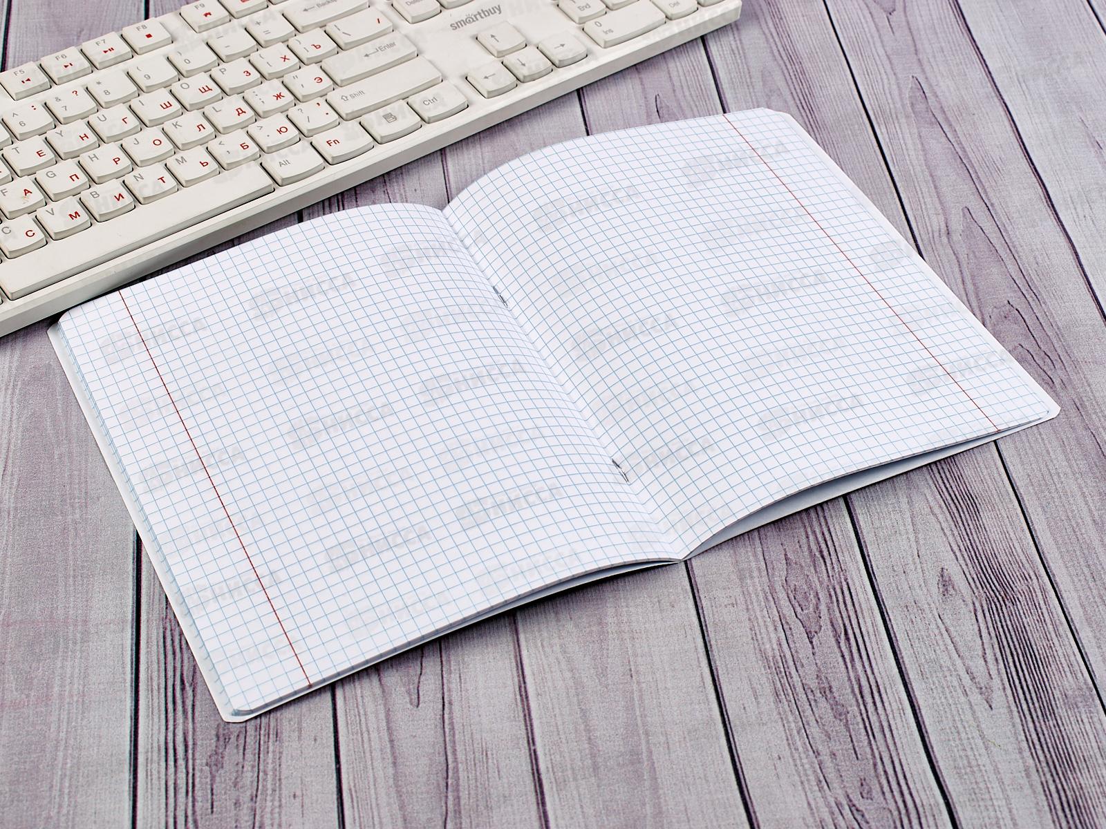 Тетрадь 24листа клетка Hatber Пришла еда*10/100