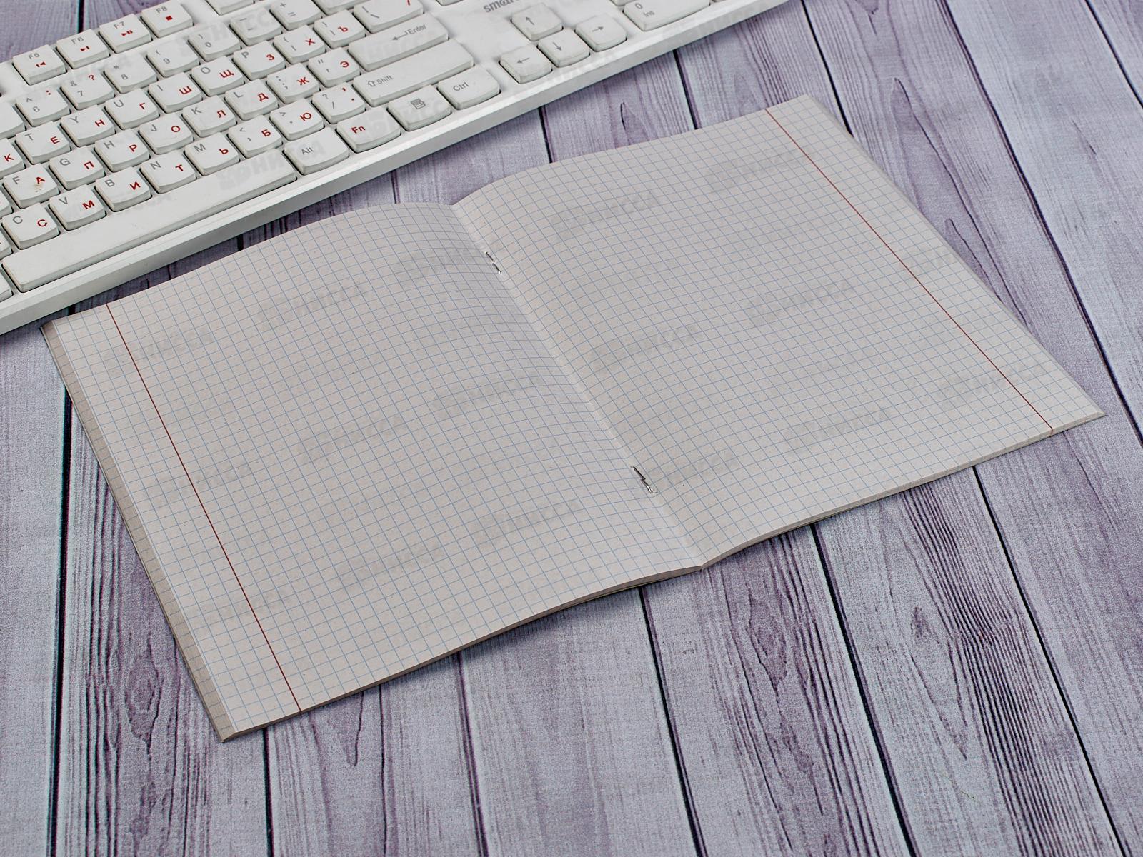 Тетрадь 48л кл. schoolФОРМАТ А5 Природа, мел., ТОК48КР-ПР *10/64