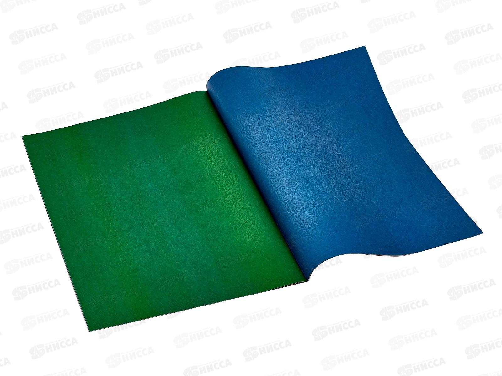 Цветная бум.  8л 16цв Апплика Крутой цыпленок,С0005-52*60