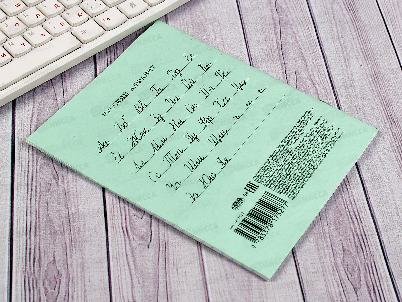 Тетрадь 24листа клетка ПП Стандарт офс.24-5753  *40/240