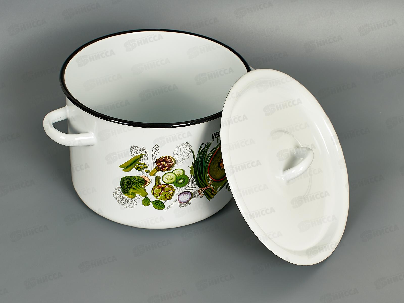 Кастрюля 4,5л эмалированная с рисунком 01-1615/4 Веган