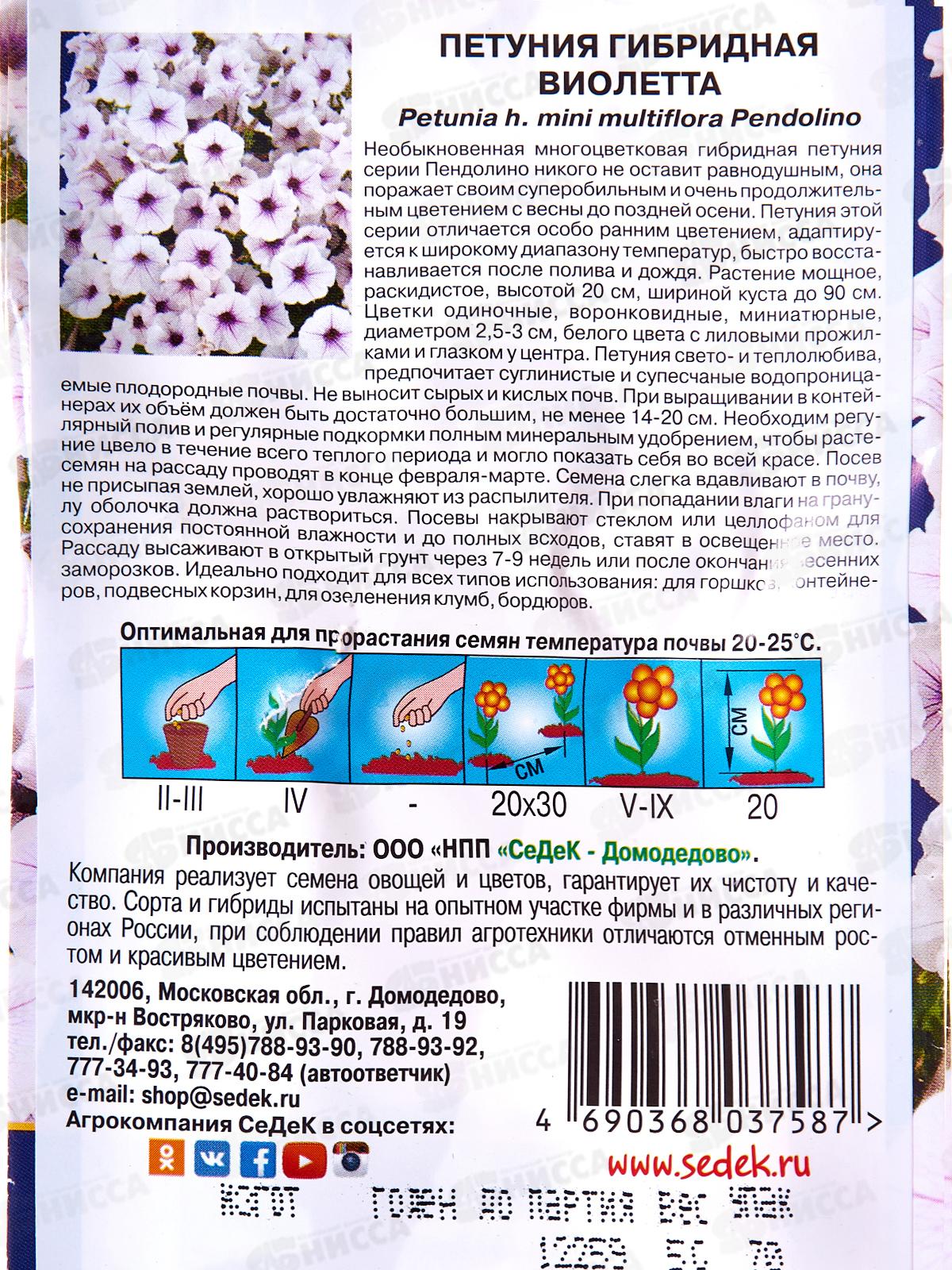 Петуния Виолетта F1 (цветы миниатюрные, белые с лиловыми прожилками) (Евро,5) *5 СеДек +