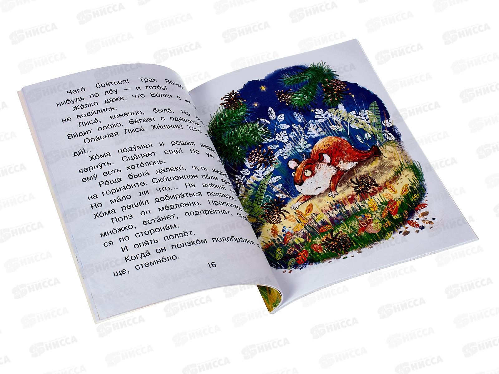 Книга АСТ Приключения Хомы Суслика, Иванов А.А., 8272-5  *25