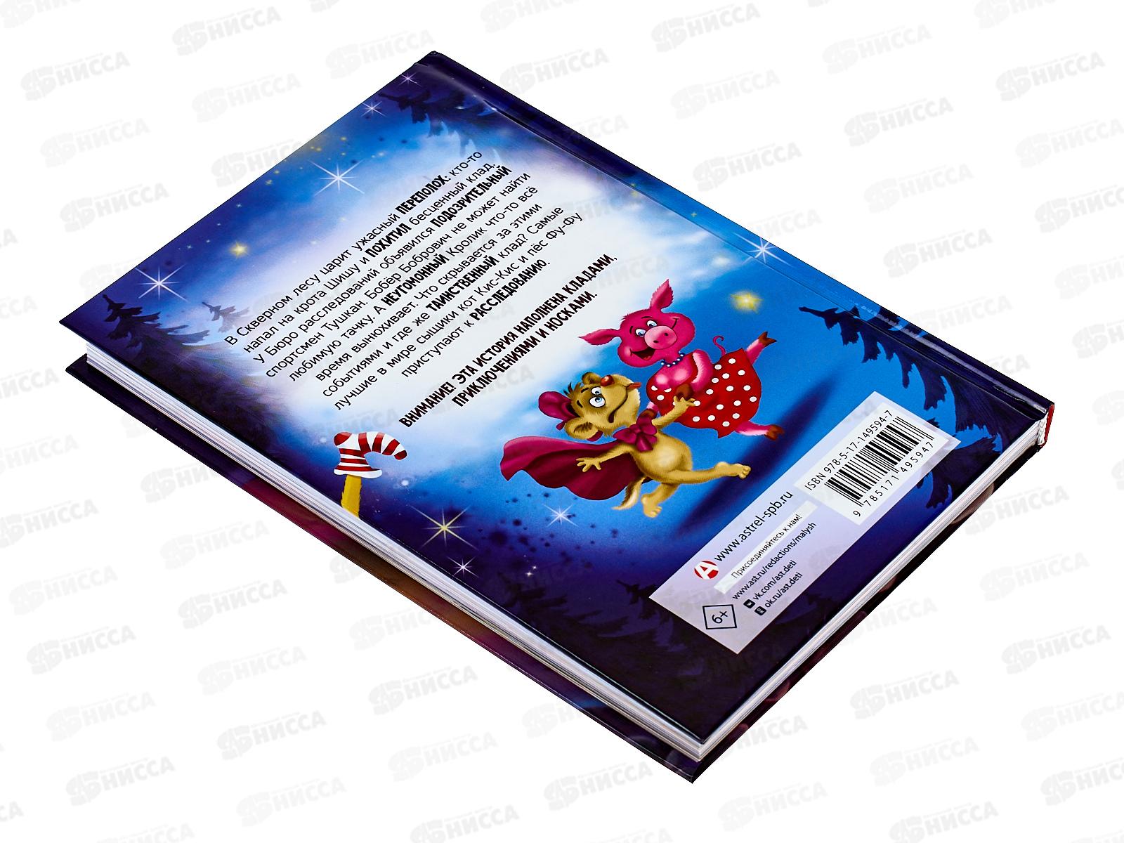 Книга АСТ Фу-Фу и Кис-Кис. Носки врозь!, Матюшкина К., 9594-7  *20