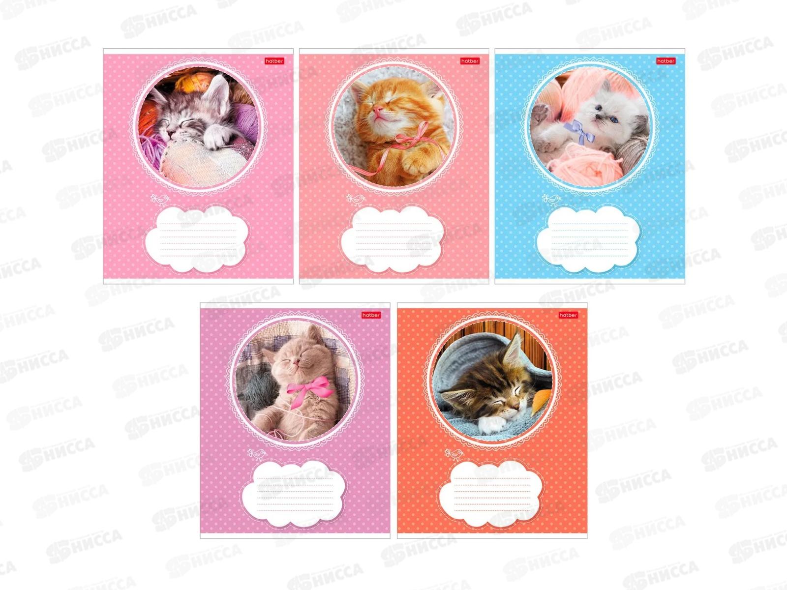 Тетрадь 18л лин. Hatber Котята*10/120