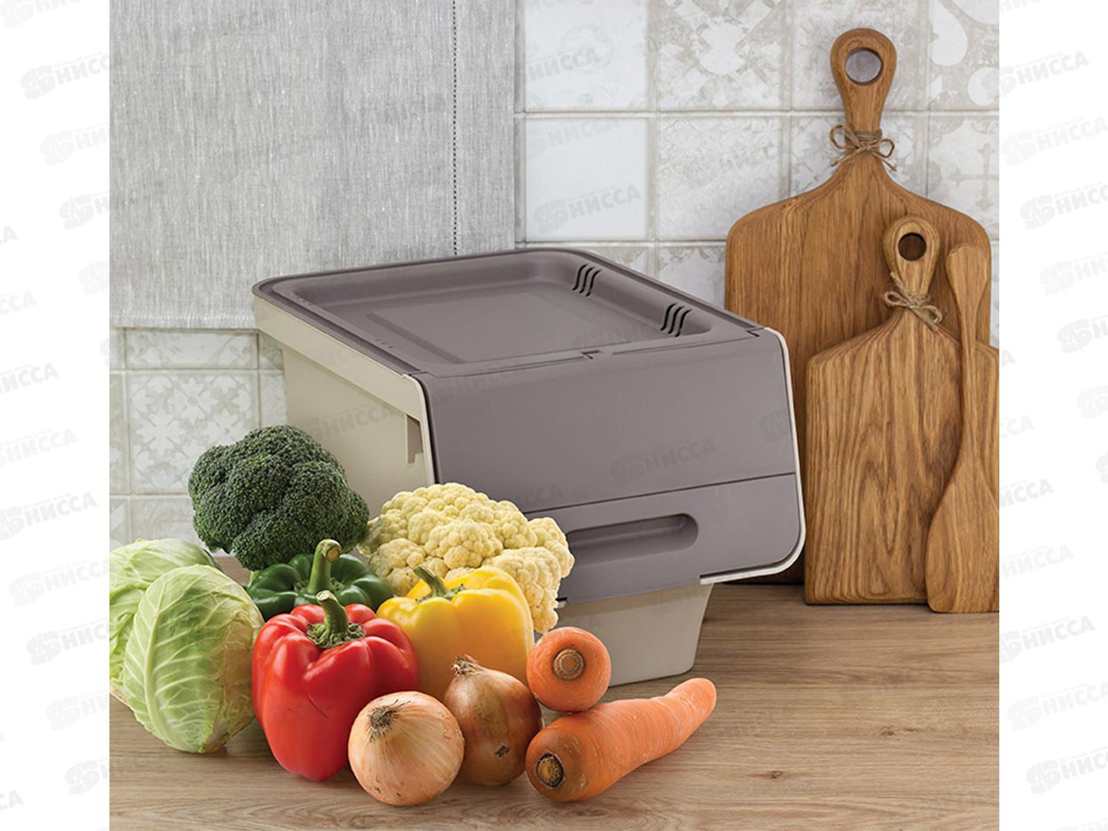 Ящик для овощей СМАРТ 12л Латте М2396 *6