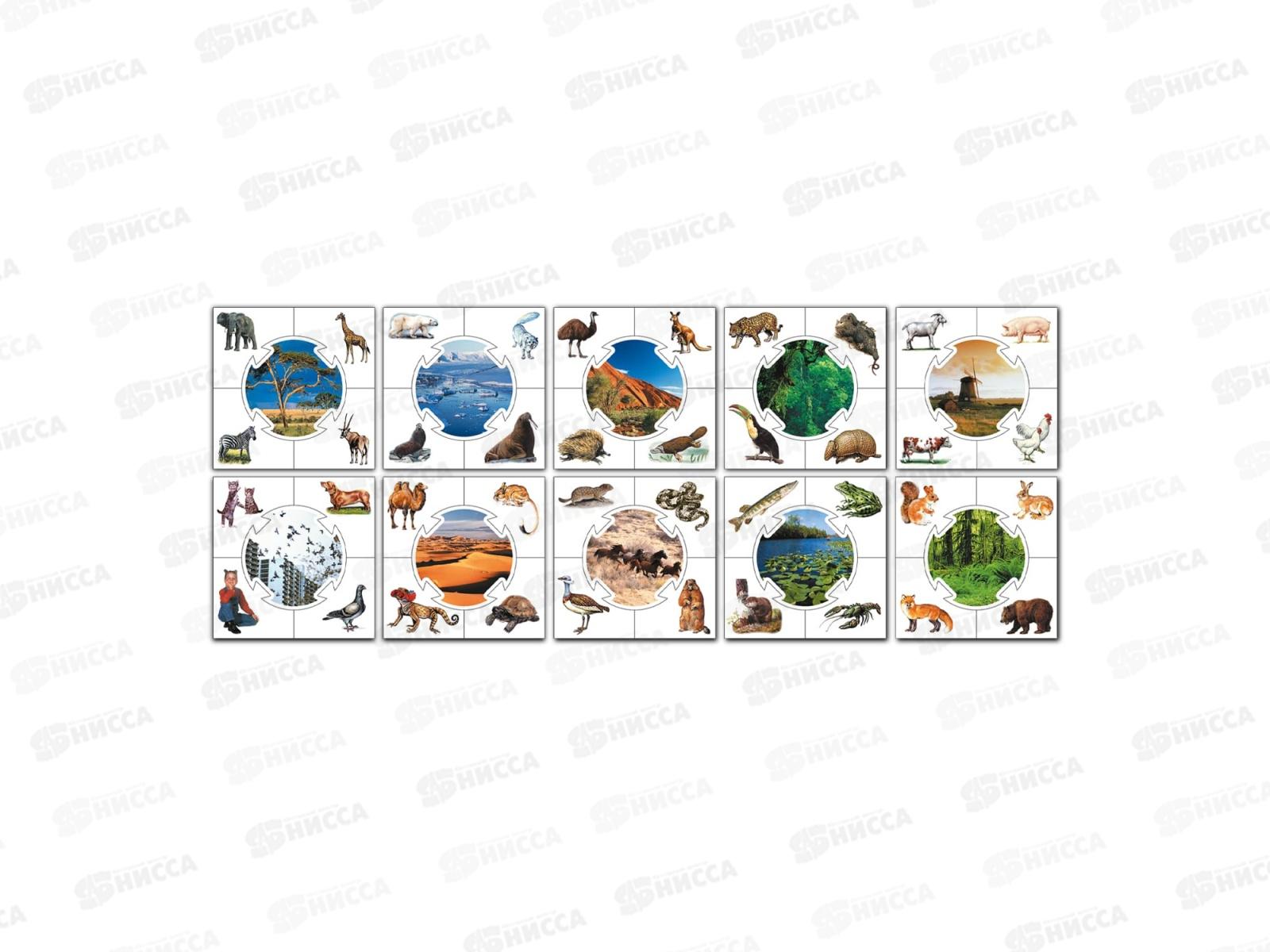 Игра обучающая Учись играя &quotКто где живет&quot 00238  *14