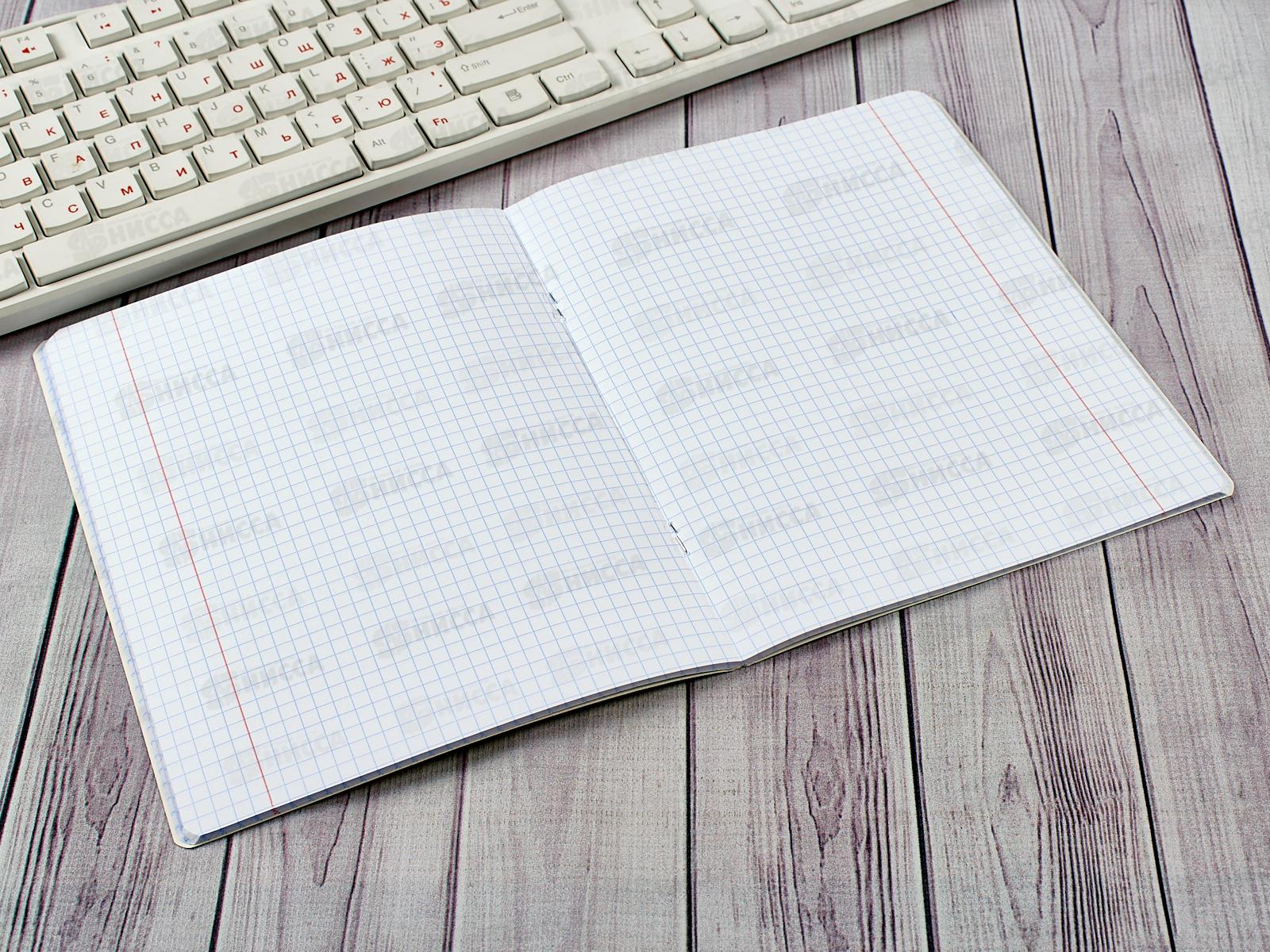 Тетрадь 48листов клетка  BG Яркая жизнь,11061*4/56