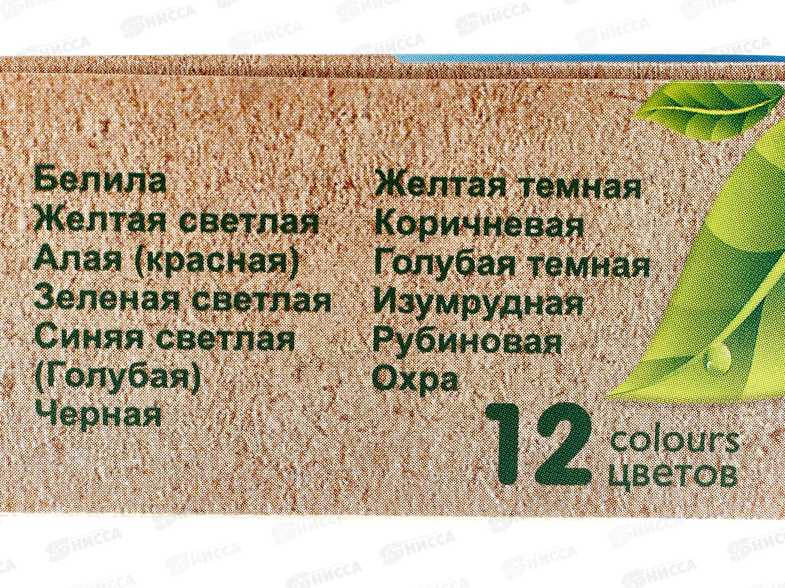 Гуашь ЛУЧ Zoo 12цв. 15мл, 19с1252-08 *12