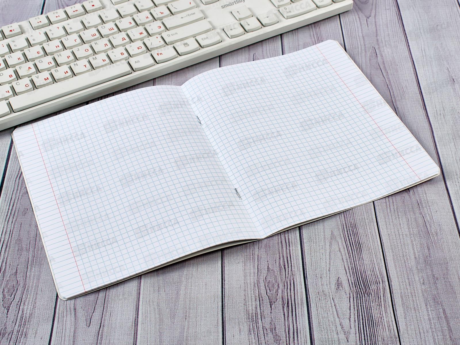 Тетрадь 12листов клетка ПЗБМ Пироженка,017513*20/120