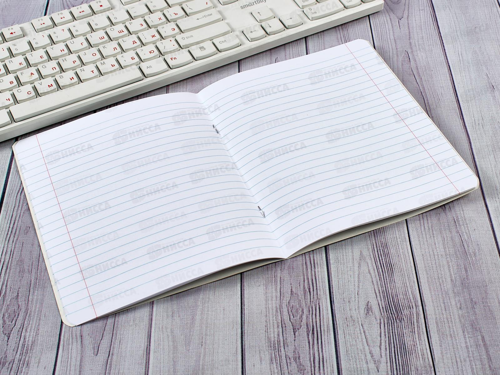 Тетрадь 12листов линия ПЗБМ Пироженка,017506*20/120