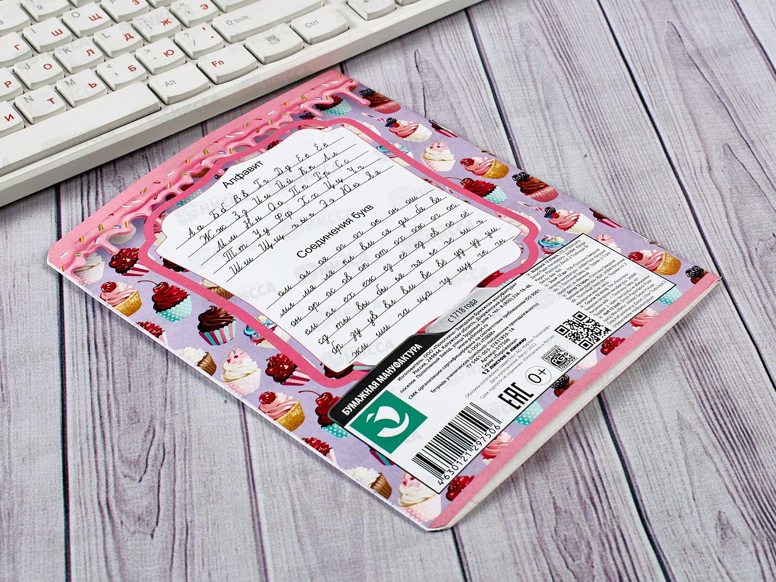 Тетрадь 12листов линия ПЗБМ Пироженка,017506*20/120