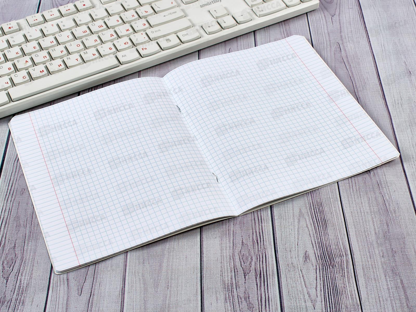 Тетрадь 18листов клетка ПЗБМ Аниме 017469*20/100