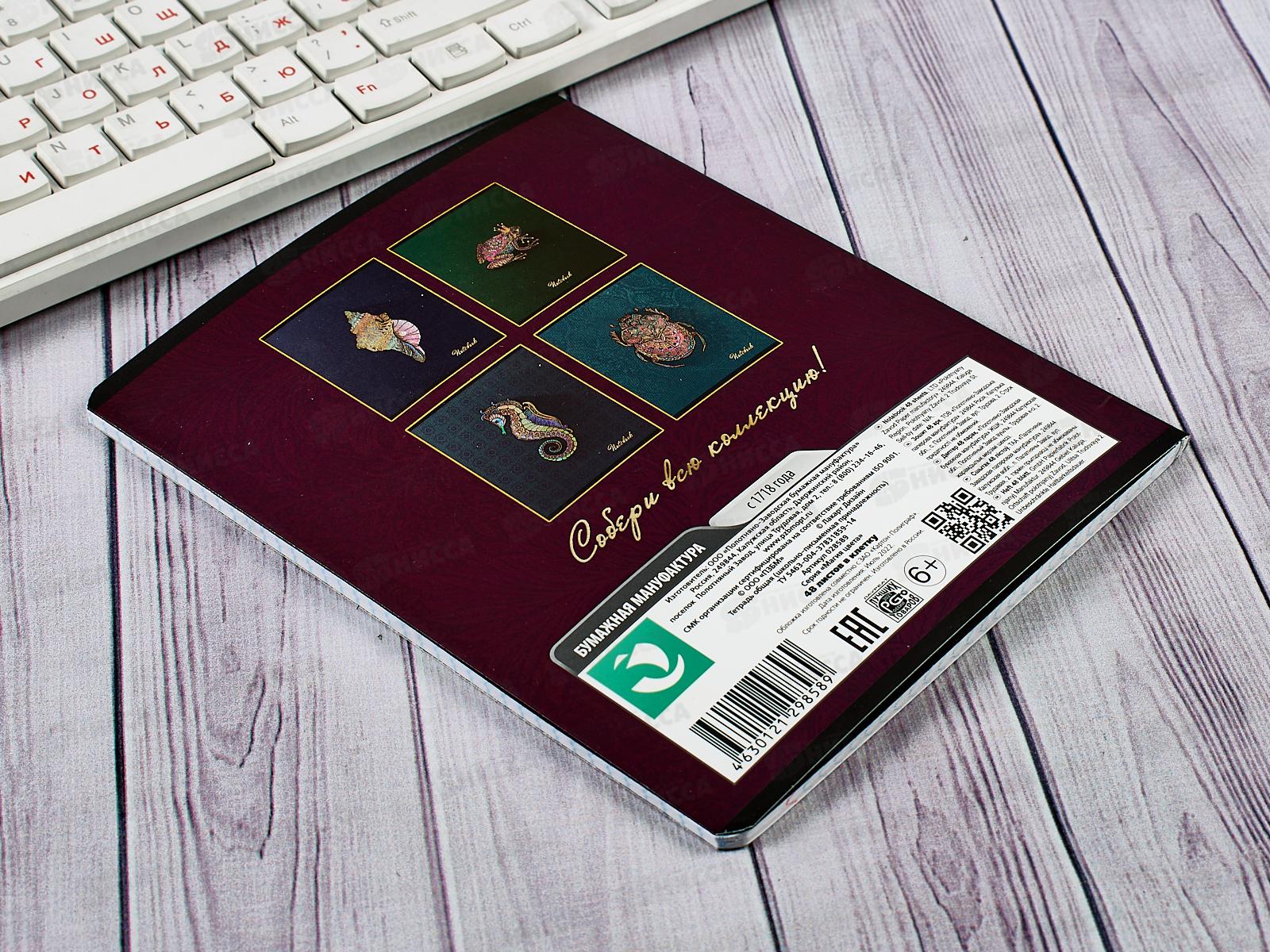 Тетрадь 48листов клетка ПЗБМ Магия цвета,028589*5/50