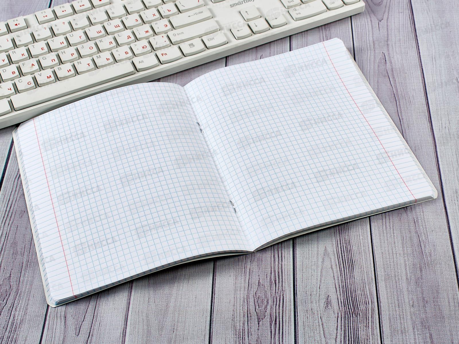 Тетрадь 48листов клетка ПЗБМ Свобода мысли,027575*5/50