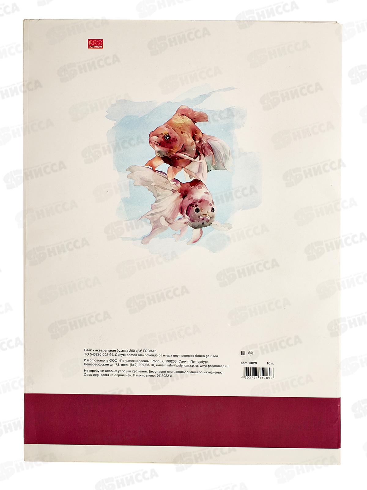 Папка д/акварели А3 10л ПЛН плотность P200, 3029 *10