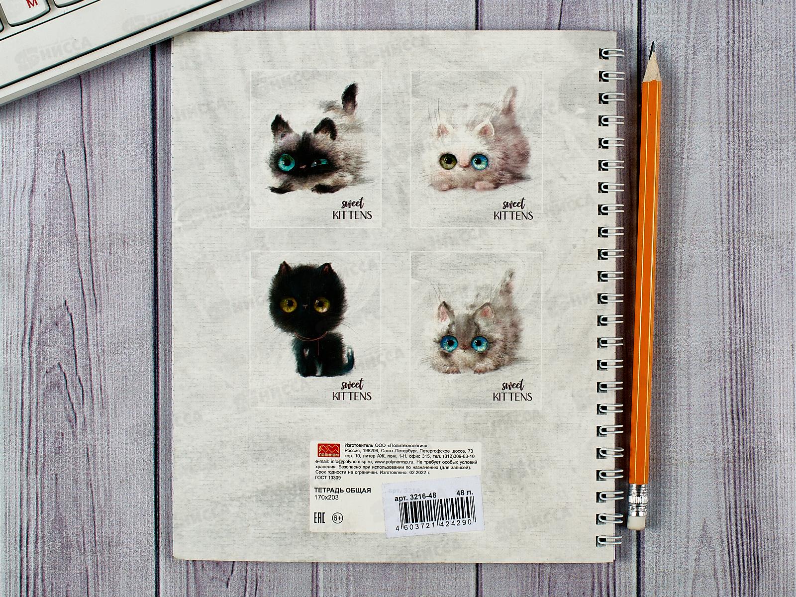 Тетрадь 48листов клетка ПЛН Глазастые котики, мет.греб., 3216-48 *30