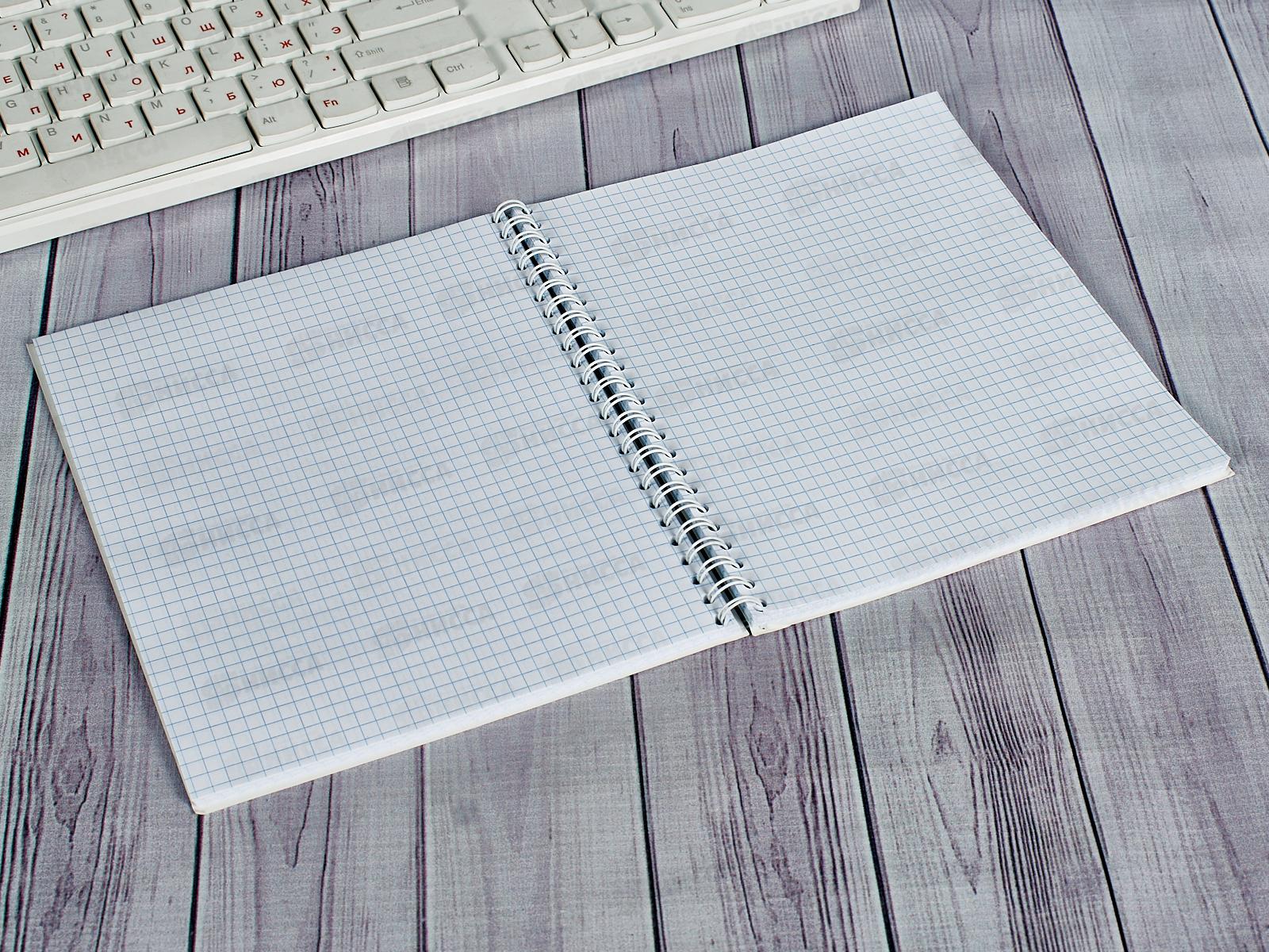 Тетрадь 96л кл. ПЛН Глазастые котики, мет.греб., 3216-96 *20