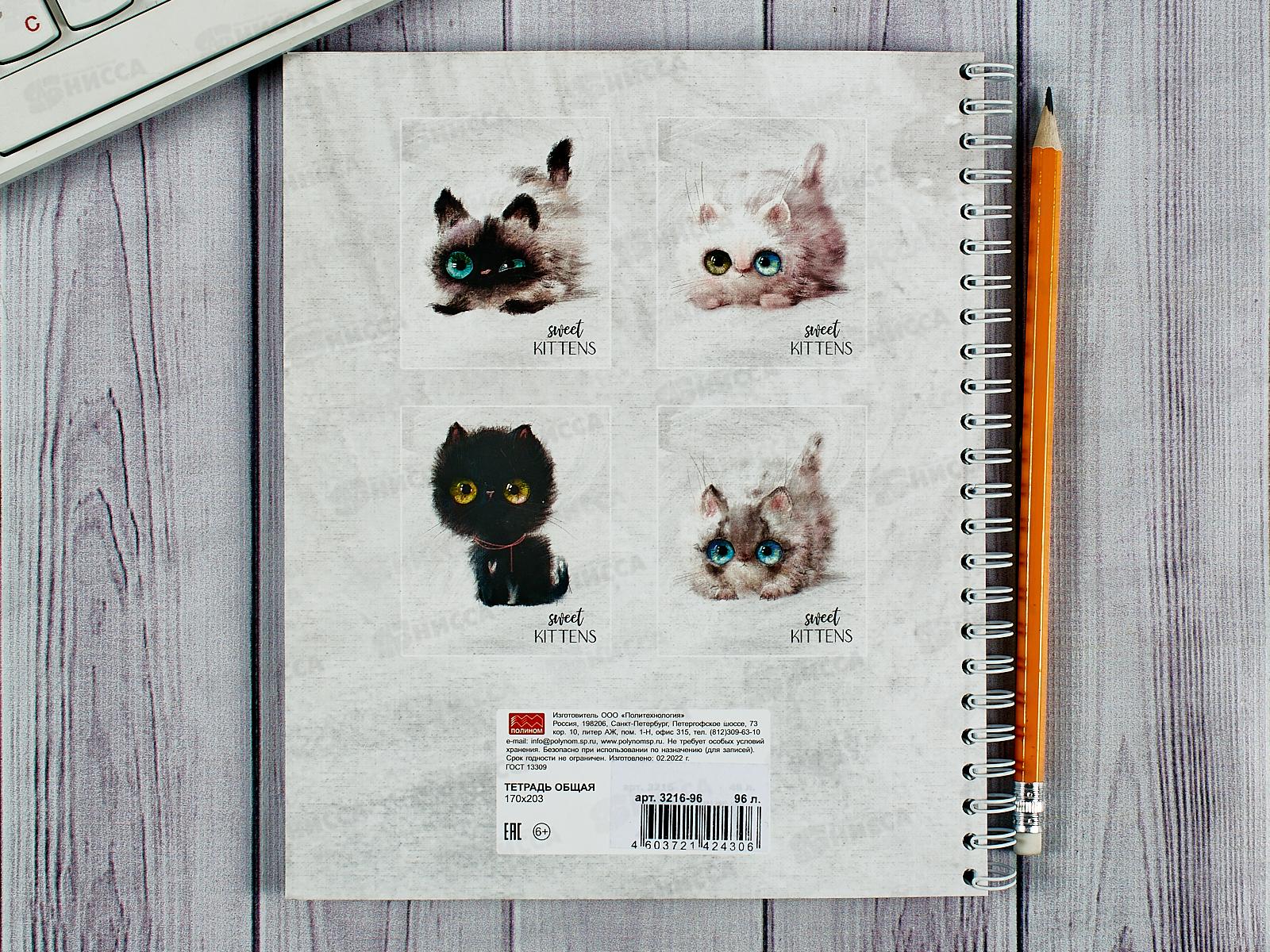 Тетрадь 96л кл. ПЛН Глазастые котики, мет.греб., 3216-96 *20